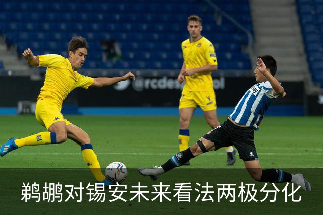 鹈鹕对锡安未来看法两极分化
